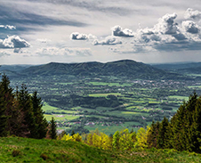 květen: Ze skalky © Foto: Petr Pazdírek