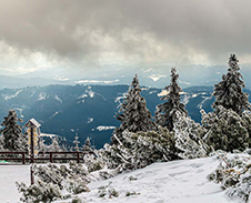 leden: Na Lysé hoře s výhledem na okolní Beskydy © Foto: Martin Wiszczor