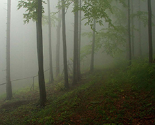 říjen: Po dešti v Těšínských Beskydech © Foto: Pavel Zubek