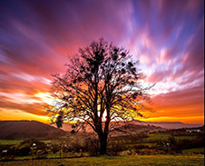 listopad: Strom nad Nýdkem © Foto: René Kajfosz