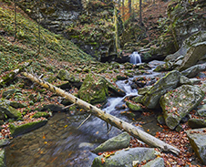 listopad: Podzim na Satině © Foto: Bogdan Kaleta