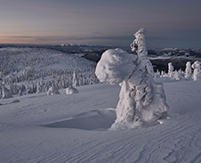 únor: Pod návalem sněhu - Pilsko 1557 m n. m. © Foto: Bogdan Kaleta