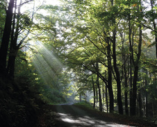 květen: Cestou z Kunčic na Pustevny © Foto: Radomila Antošová