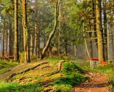 září / říjen: Cestou na Velký Polom © Foto: Petr Pazdírek