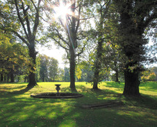 říjen: Zámecký park, Šilheřovice © Foto: Bořivoj Kubala