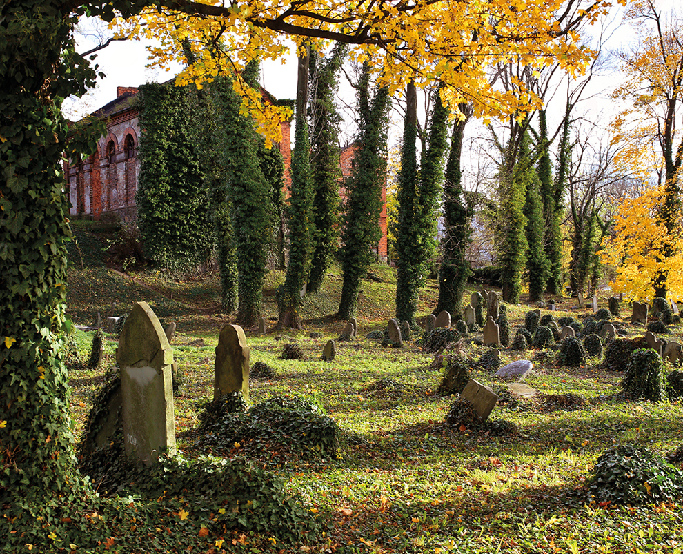 září / říjen: Židovský hřbitov, Cieszyn © Foto: Martin Podžorný